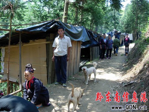 Σ�U������ɽ�w�F�ѿp �����t�t�����w