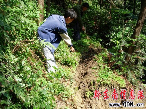 Σ�U������ɽ�w�F�ѿp �����t�t�����w