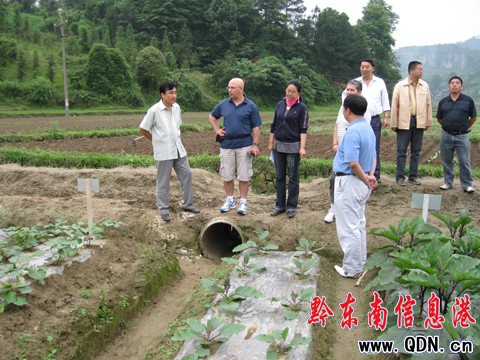 ��ɫ���v�A��ٝ���f���o�����߲˻��ؿ���