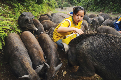 ���޻��l���I �_�k�Z�BҰ�i�Bֳ��