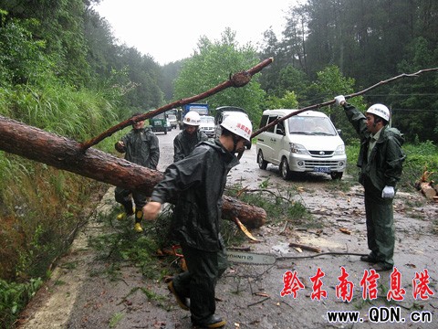 施秉:狂風吹倒大樹 阻斷景區公路(組圖)