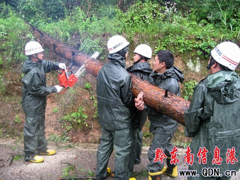 施秉:狂風吹倒大樹 阻斷景區公路(組圖)