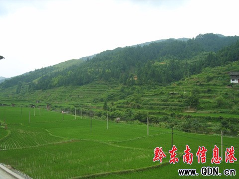 ��կ��2000�����Bˮ���L��ϲ�ˣ��M�D��