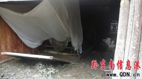 �어����l��������ԁ������Ѵ�飨�M�D��