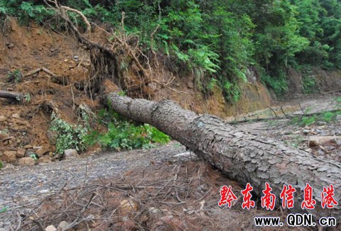 �어����l��������ԁ������Ѵ�飨�M�D��