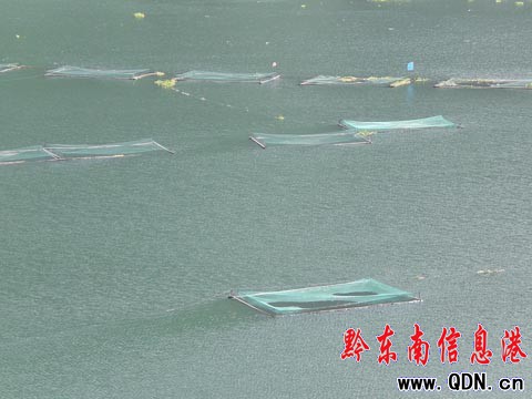 “仰阿莎湖”水產養殖帶動移民增收(組圖)