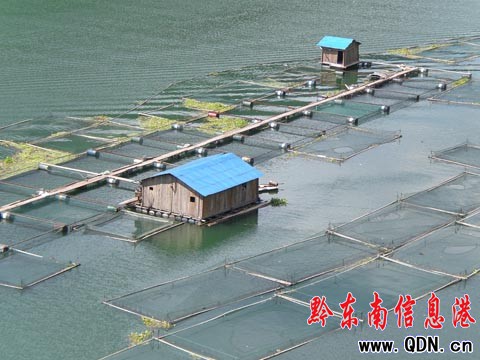 “仰阿莎湖”水產養殖帶動移民增收(組圖)