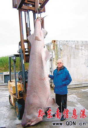 ��ʿ70�q�ο͆θ����480�������~(y��)(�D)