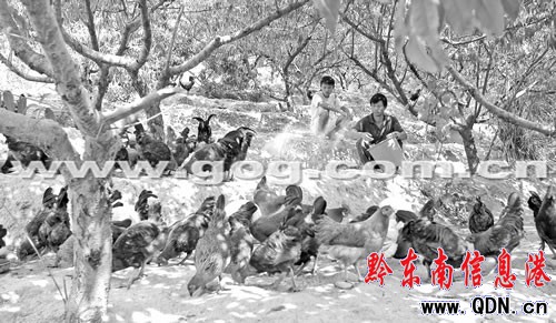 �Ž�������ϲ�۵�С���u���D��