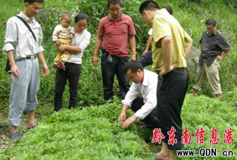 ��Ӣ��̖������߲�����ɽ�ɞ��r�����ծa�I