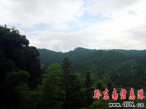 人在畫中游(組圖)