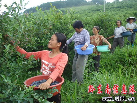 �齭�������{ݮ���ˣ����D��