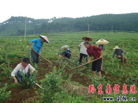 �齭�������{ݮ���ˣ����D��