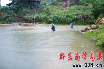 �B�ձ����u���\���h���D��