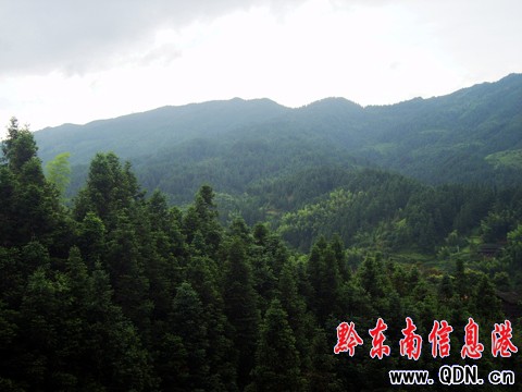 �\���h��կ�壺�l(xi��ng)�����εĺ�ȥ̎���D��