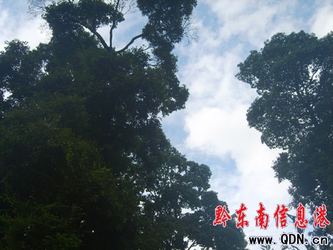 �\���h��կ�壺�l(xi��ng)�����εĺ�ȥ̎���D��