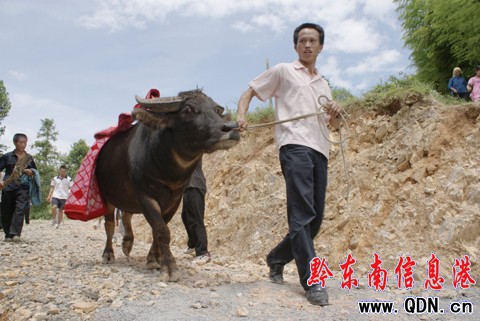 �\����կ���������¹�(ji��)�����@�����Ļ�����