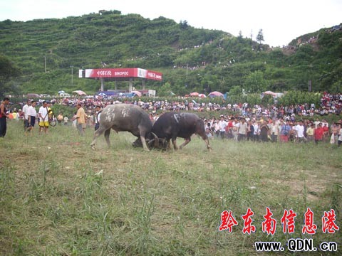 ��ɽ�e�k���c���¡���ţϵ�л�ӣ��M�D��