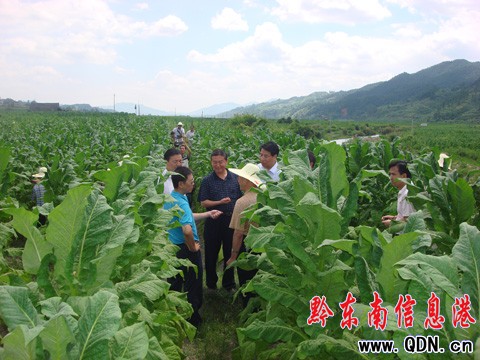 �������|��ɫ���~�@���Ҍ��ҽM�϶� �Q�L��ͻ��