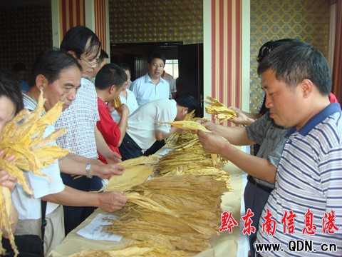 �������|��ɫ���~�@���Ҍ��ҽM�϶� �Q�L��ͻ��