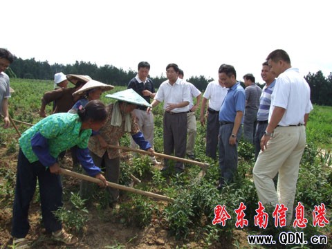 �T���ĵ�ʩ���h�{(di��o)�У��M�D��