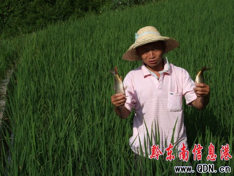 ��ɽ�r�����B�~����·���D��