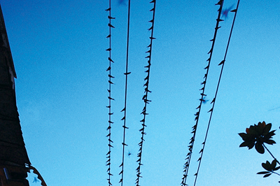 ��կ�h�ǣ��fǧ���������]���D��