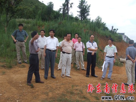 �T���ĵ��P�｛���_�l�^�{�У��M�D��