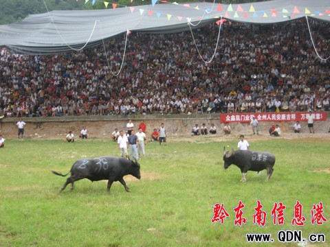 �P�ﶷţِ���_��Ļ ���ʽ�����ݑc�I�Y���D��