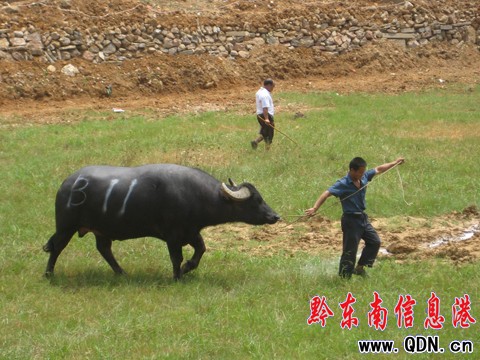 �P�ﶷţِ���_��Ļ ���ʽ�����ݑc�I�Y���D��