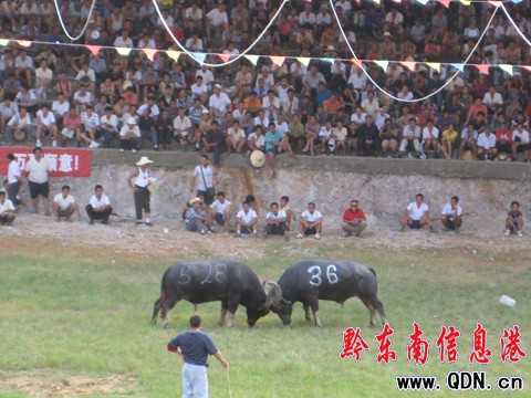 �P�ﶷţِ���_��Ļ ���ʽ�����ݑc�I�Y���D��