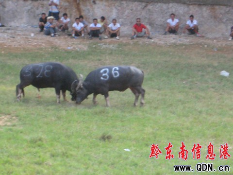 �P�ﶷţِ���_��Ļ ���ʽ�����ݑc�I�Y���D��