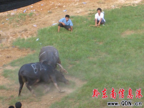 �P�ﶷţِ���_��Ļ ���ʽ�����ݑc�I�Y���D��