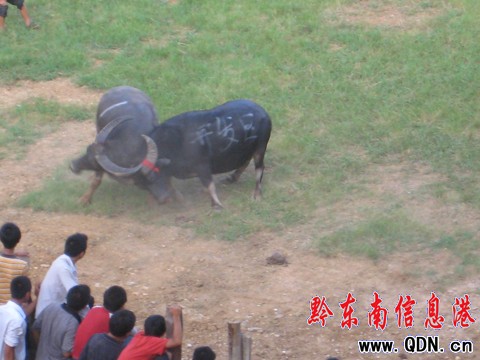 �P�ﶷţِ���_��Ļ ���ʽ�����ݑc�I�Y���D��