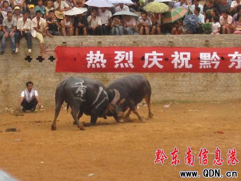 ǭ�|������ţ��δ�^��݆ �~�ʡ��Ϳۡ��Z�����D��