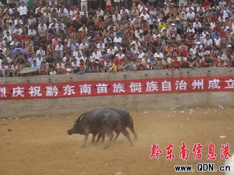 ǭ�|������ţ��δ�^��݆ �~�ʡ��Ϳۡ��Z�����D��