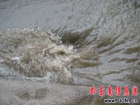 突下大雨排水受阻 “洗馬河”變“洗車河”(圖)