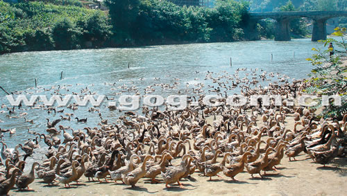 ����������韲��~��a�I��