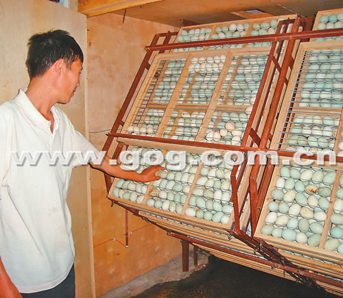 ����������韲��~��a�I��