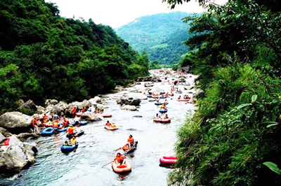 �F��Ư�� ����������