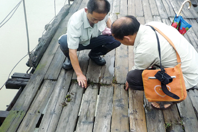 �F���������ϲ�Σ�����D��