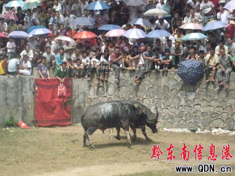 �����Ů�������� �r��չչ�F���L���D��