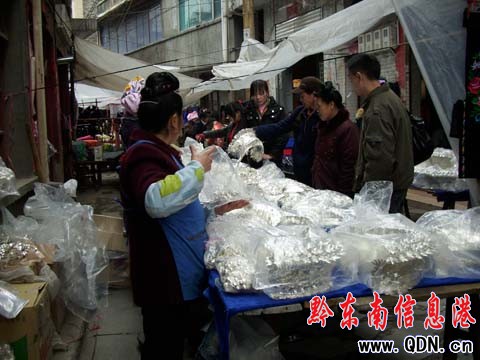 ��ɽ���lӭ�������y�b�y��N���������D��