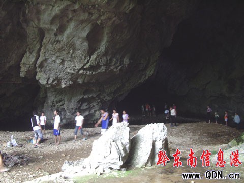 ��ƽ�@�F�����ܶ�Ⱥ ���ҽ����������ξ���(�D)