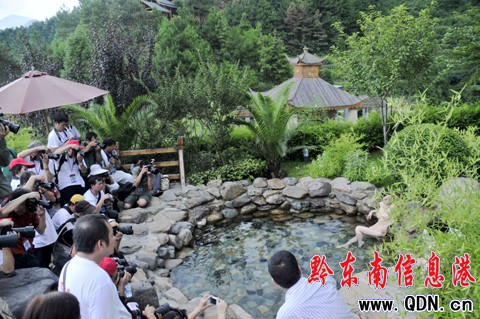 ����ˮ���ˡ����w�zӰ���˶�ɭ�֜�Ȫ�_��