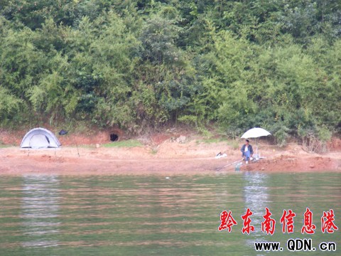 ����ꖺ����  50����~�ȴ��о��ˣ��D��