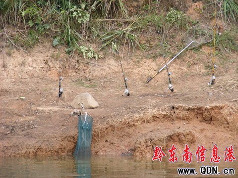 ����ꖺ����  50����~�ȴ��о��ˣ��D��