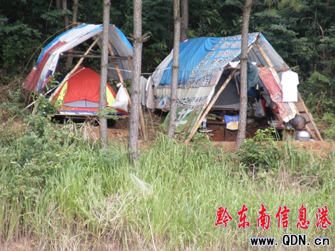 ����ꖺ����  50����~�ȴ��о��ˣ��D��