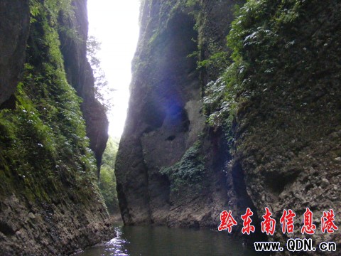 ����ꖺ����  50����~�ȴ��о��ˣ��D��