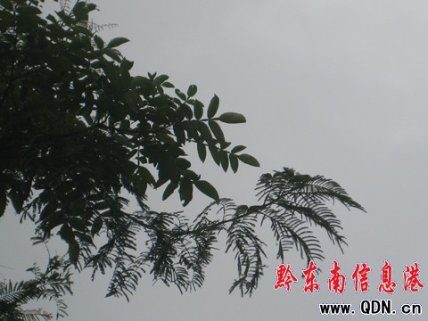 ����ꖺ����  50����~�ȴ��о��ˣ��D��